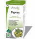 Cypres (Cupressus sempervirens)