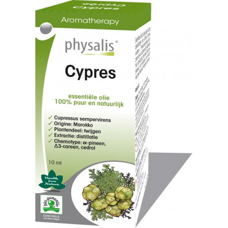 Cypres (Cupressus sempervirens)