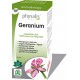 Geranium (Pelargonium asperum)