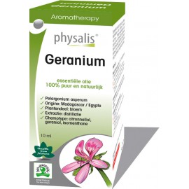Geranium (Pelargonium asperum)