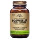Boswellia Resin Extract plantaardige capsules - 60caps