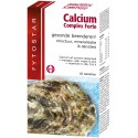 Fytostar Calcium complex Forte - 60tabs