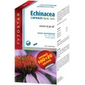 Fytostar Echinacea Forte 1215 Maxi - 100+20caps