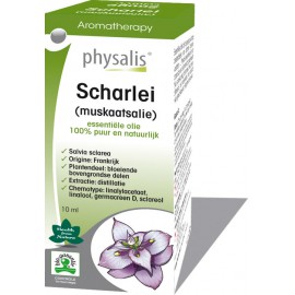 Scharlei (Salvia sclarea)