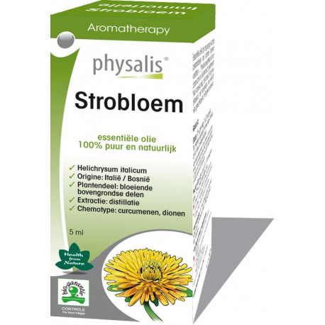 Strobloem (Helichrysum italicum)